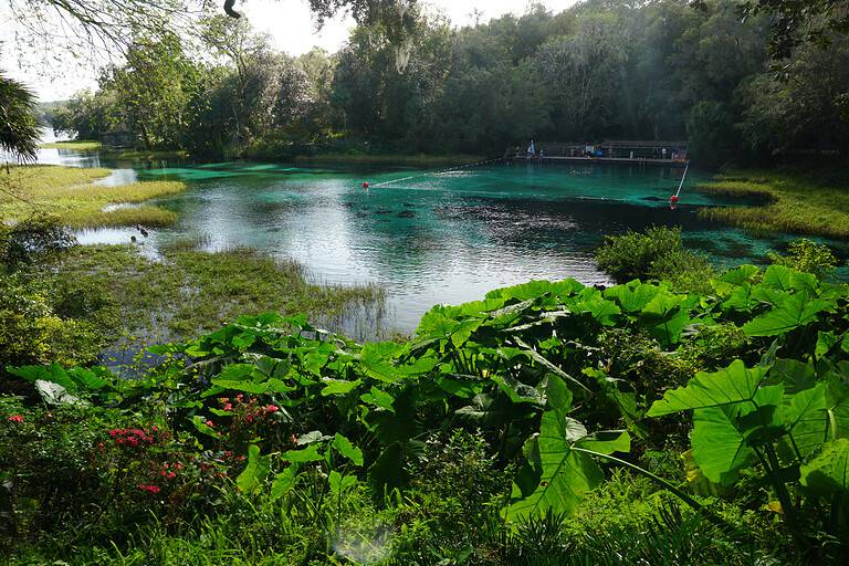 Rainbow Springs State Park FL