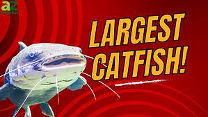 The Largest Channel Catfish Ever Caught in Oklahoma Picture