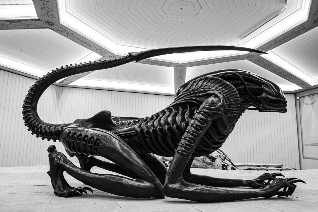 Alien vs. Predator: 10 Real-Life Animals Most Like These SciFi Villains ...