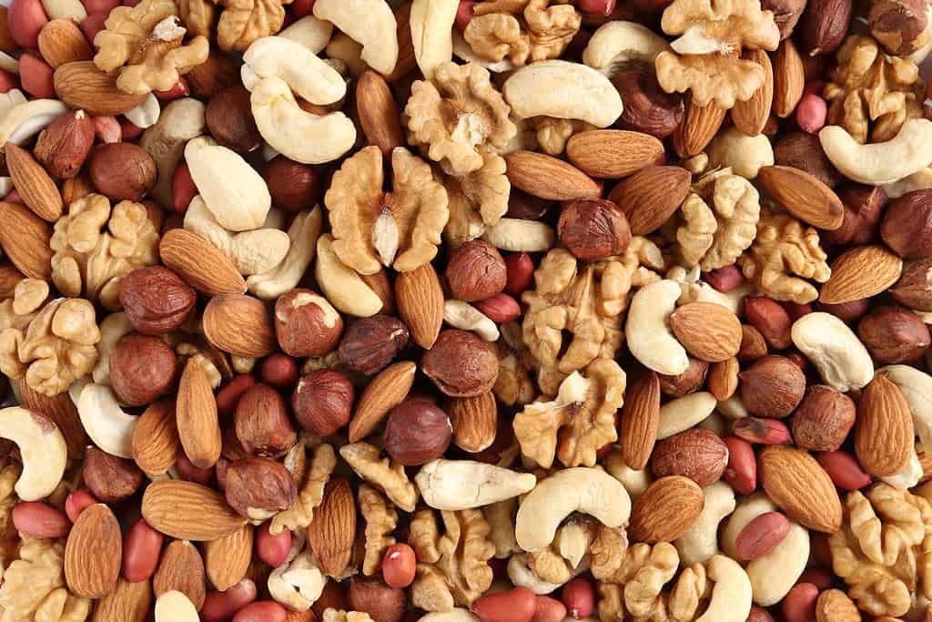 different nuts in a heap