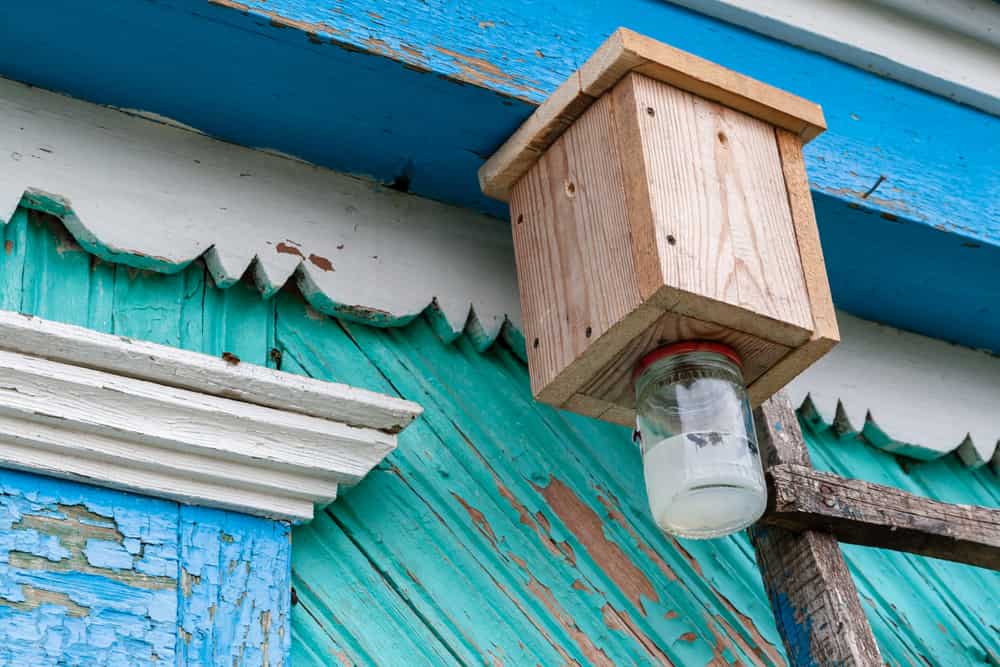 Homemade wooden device to trap carpenter bees Xylocopa valga; Bee trap. Carpenter bees are species in the genus Xylocopa of the subfamily Xylocopinae.
