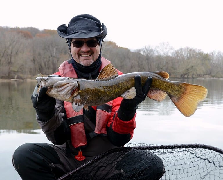 A medium sized brown colored flathead catfish fish being held horizontally by a smiling man in a dry suit over a net on a river