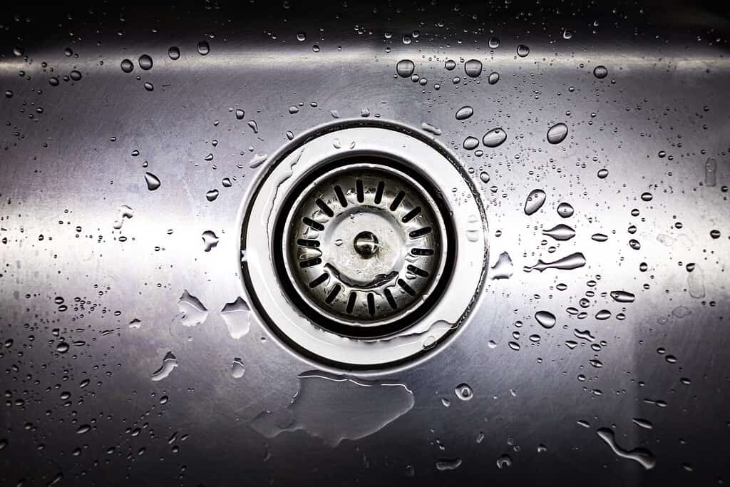 Drain in stainless steel sink with a mesh lid close-up