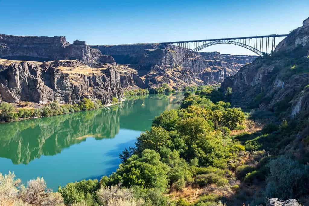 Z Intra Rivers The Fish That Make the Snake River One of America’s Great Waterways - A ...