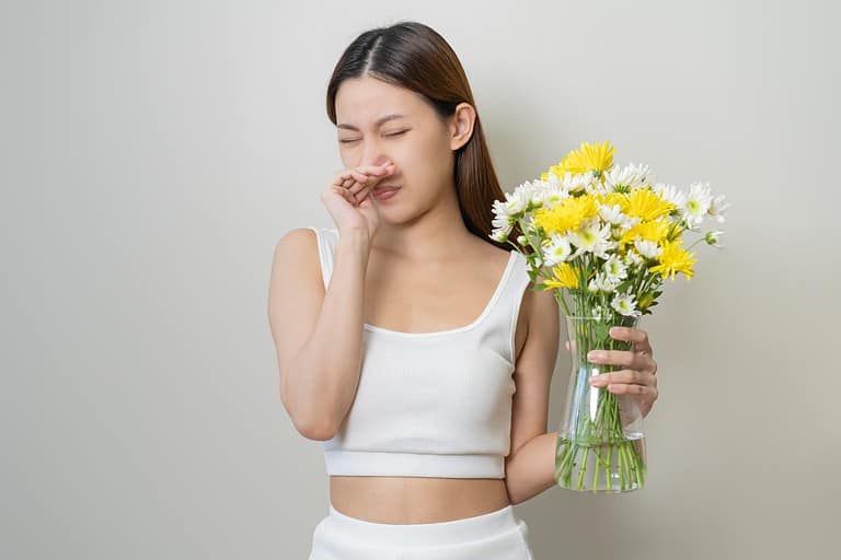 Allergic rhinitis symptom of odor pollen flowering, portrait asian young woman hand in sneeze, blowing runny nose after smell, smelly from bloom flower, holding away pink flora on white background.