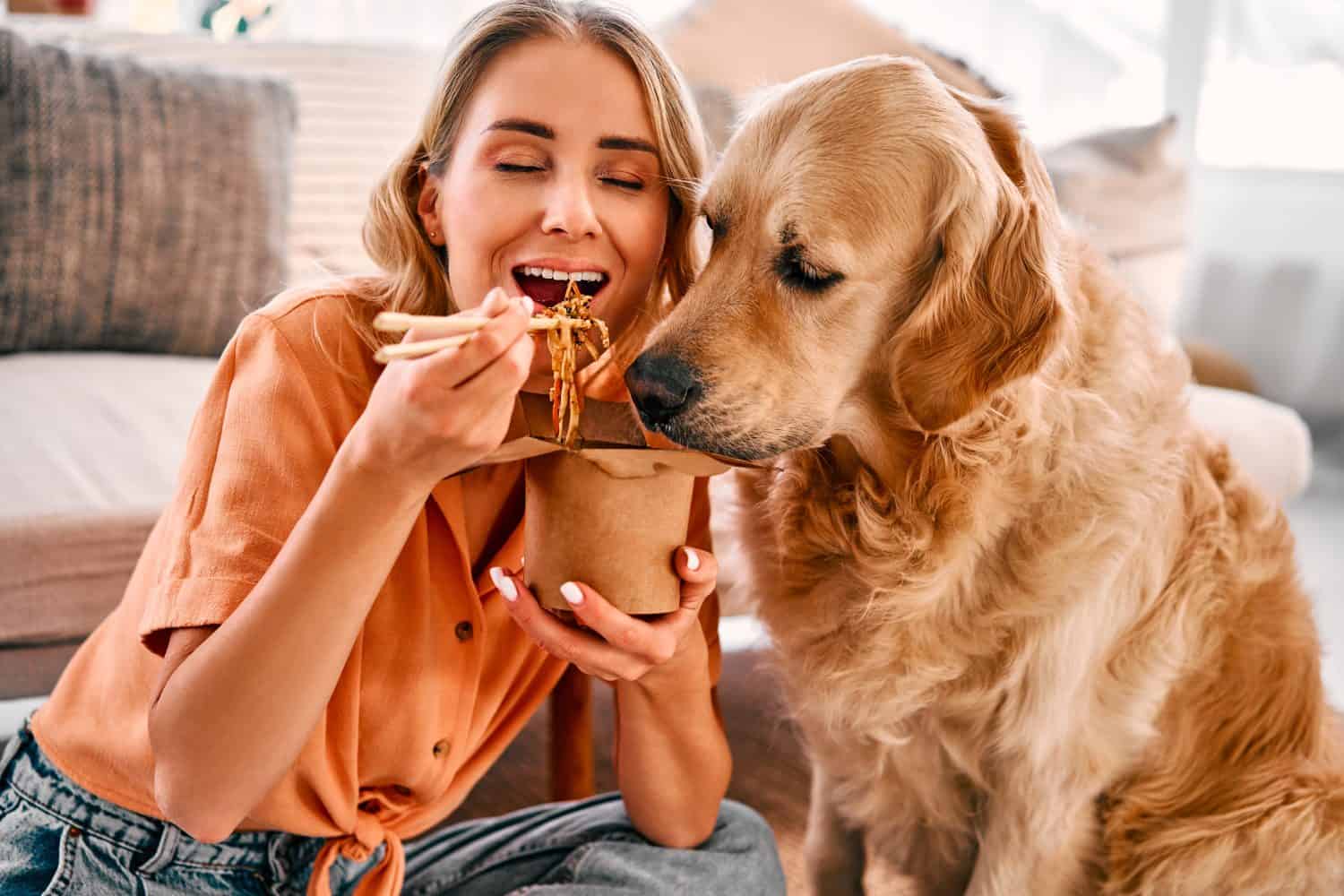Golden retriever eagerly licking paper box with chinese noodles being eating by young woman. Female pet owner sharing food with lovely furry friend at cozy apartment.                               