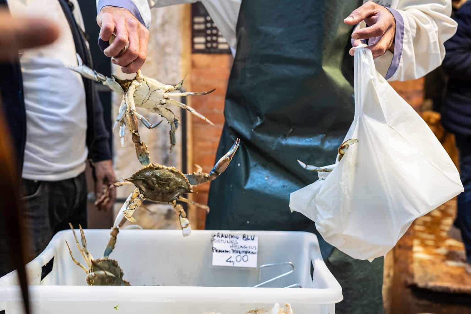 People at the market to fish counter - The seller is putting callinectes sapidus blue crabs into the bag - blue crabs are american atlantic coasts - They cause damage to fishing by preying on clams