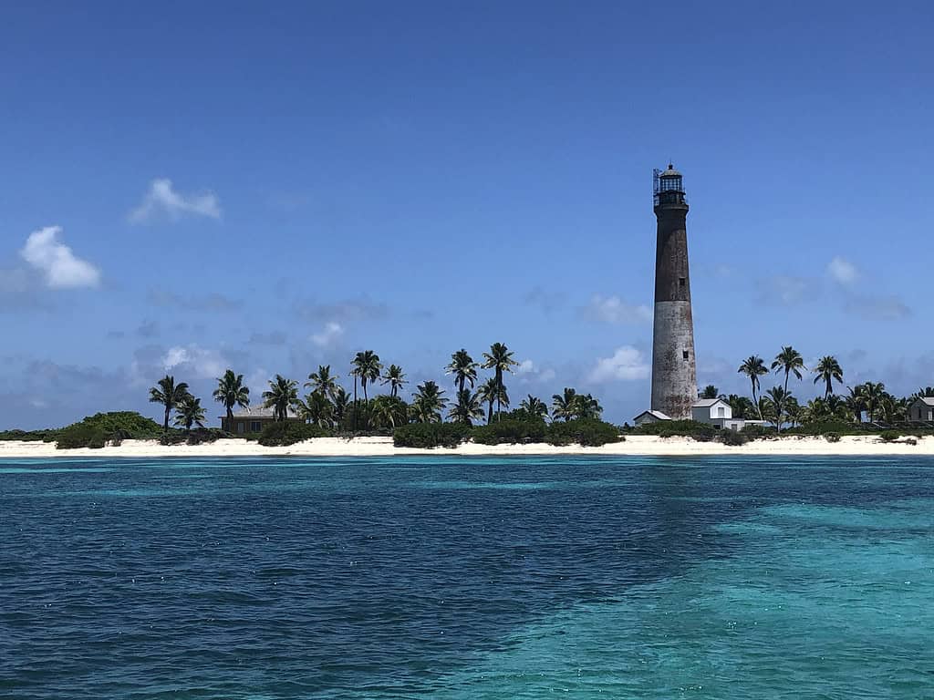 Fort Jefferson dry tortugas Florida