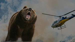 Helicopter Airlifts Man Who Was Mauled by a Grizzly Bear in Popular Park photo