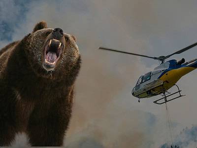 A Helicopter Airlifts Man Who Was Mauled by a Grizzly Bear in Popular Park