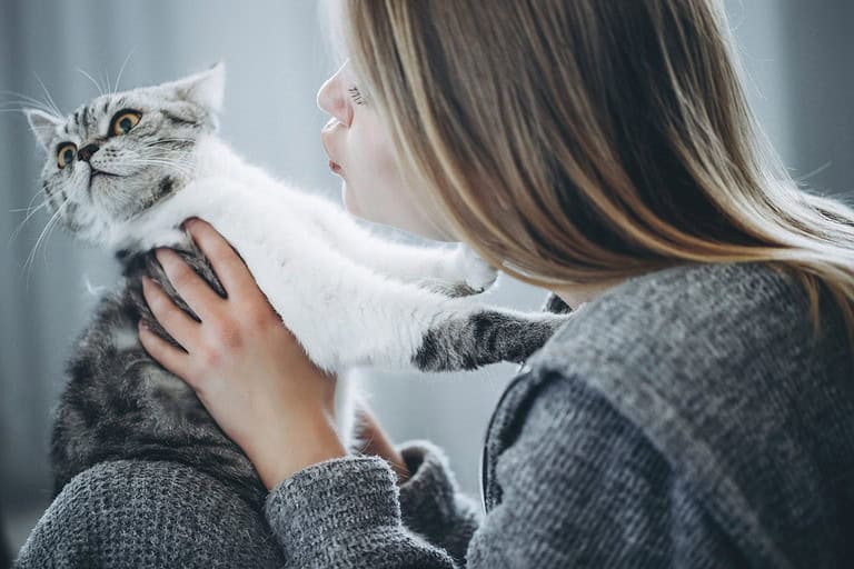 Young beautiful woman with cat. High quality photo