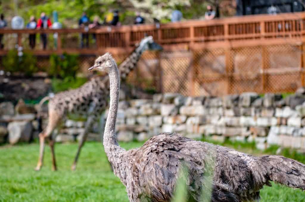 largest zoo