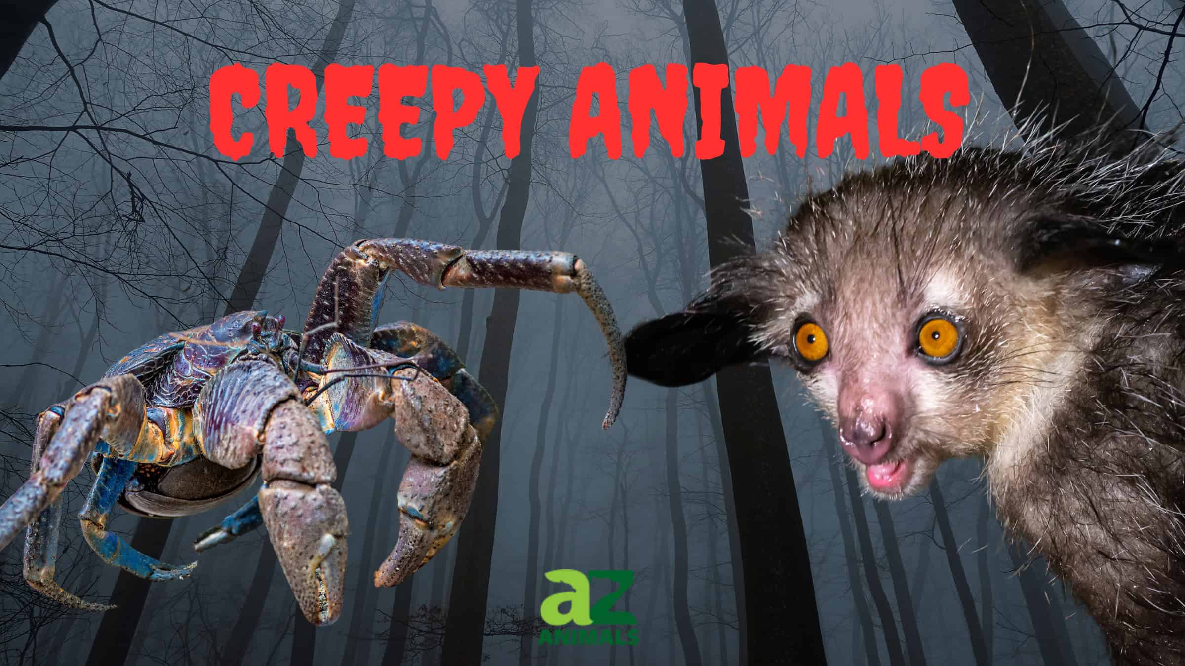 Creepy Animals