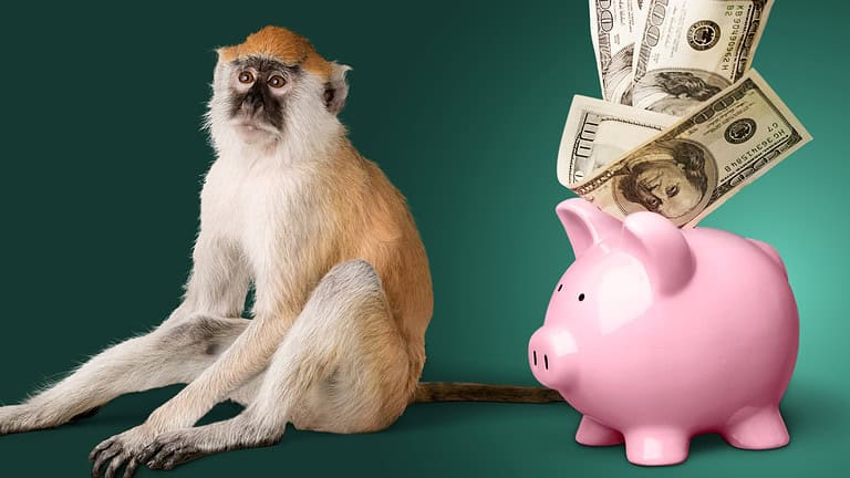 Cost of a Monkey