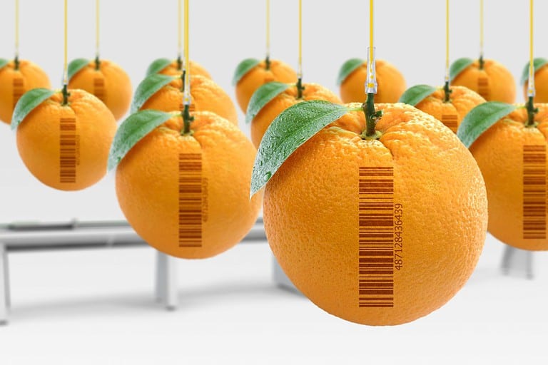 Genetically modified food concept (GMO). Oranges artificially produced in laboratory with hormones. With barcode (fake barcode).