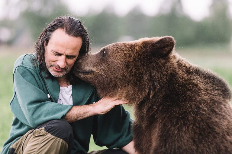 No! Bears Cannot Be Domesticated and Here's Why - A-Z Animals