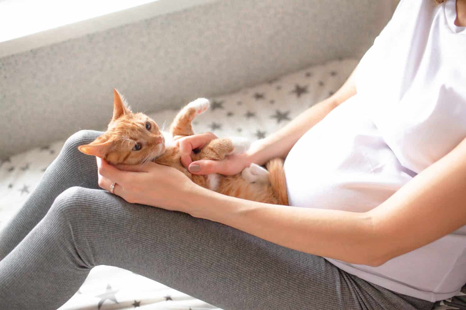 Can Having A Cat Litter Make You Sick at John Gallant blog