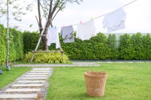 The 20 Most Eco-Friendly Laundry Detergent Options photo