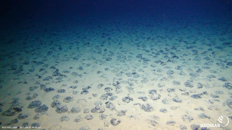 Ocean Explorations