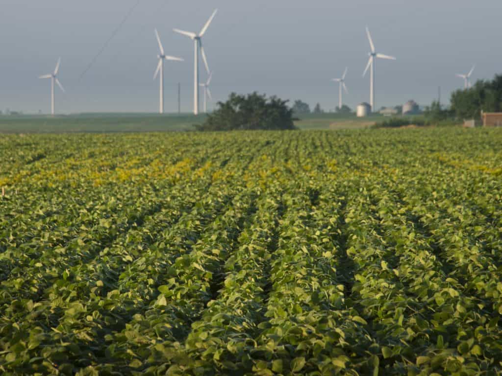 Wind turbines farm at sunrise in Iowa.