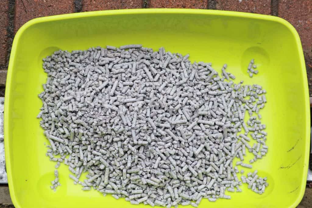 Cat litter made from recycled paper in a plastic tray