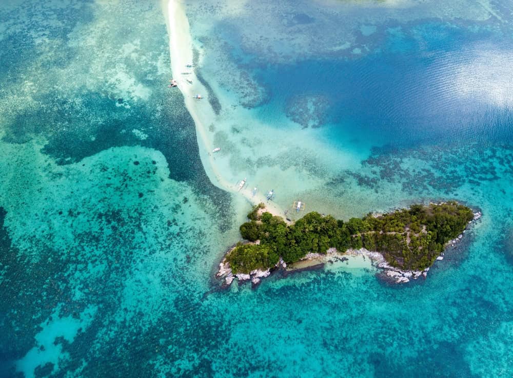 The snake island,which is also known as Ilha da Queimada Grande, is an island off the coast of Brazil. This island is full of venomous snakes.