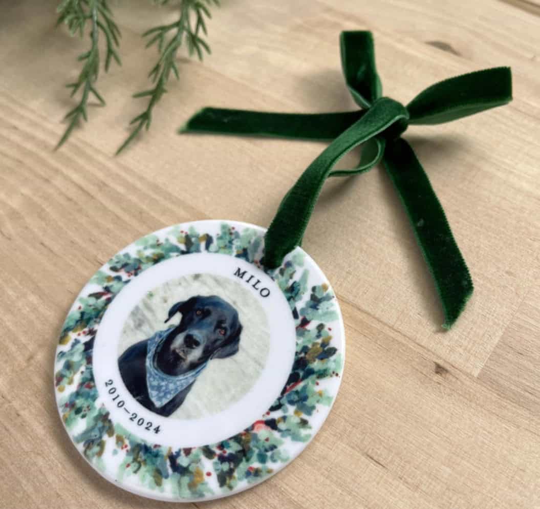 8 Fantastically Festive Furry and Feathered Friends Personalized Pet ...
