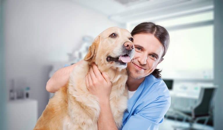 Young Veterinarian Petting a Dog in Clinic