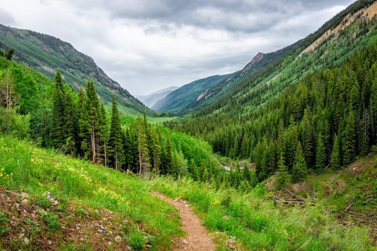 Meadow valley view on Conundrum Creek Trail in Aspen, Colorado in 2019 summer with green lush plants on cloudy day and dirt road