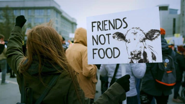 Vegetarian person hold veganism protest banner. Animal rights demonstration placard. Activist stand city street. Go vegan eco picket. Don't eat meat diet. Stop cruelty march. Save planet strike crowd.