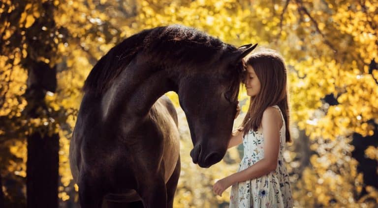 Beautiful girl with her andalusian horse and beautiful warm sunset in the autumn forest