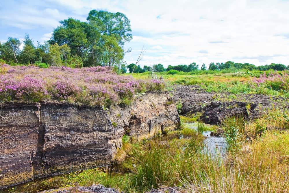 Irish peat bog landscape - (Ireland - Europe)