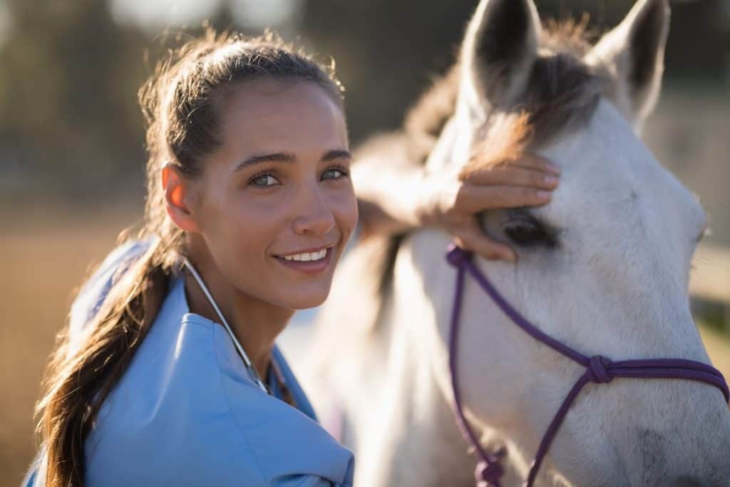 Portrait of smiling female vet checking horse at paddock during sunny day