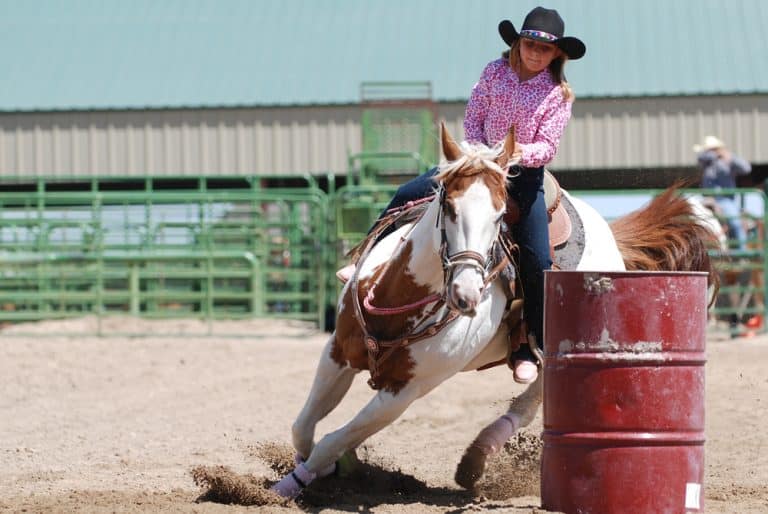 Young cowgirl riding a beautiful paint horse in a barrel racing event at a rodeo.