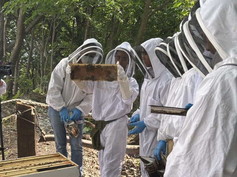 Bee U NYC holds a class for urban youth on beekeeping and environmental advocacy. In this photo, a group of students dressed in bee suits hold up a subsection of a hive.