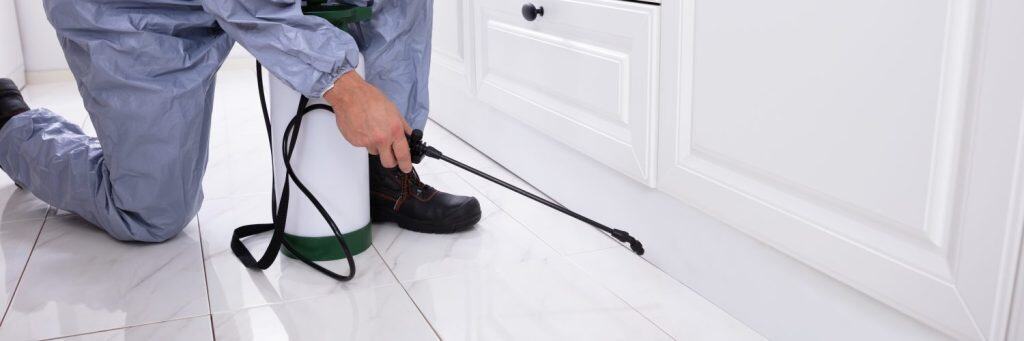 Close-up Of A Pest Control Worker's Hand Spraying Pesticide On White Cabinet