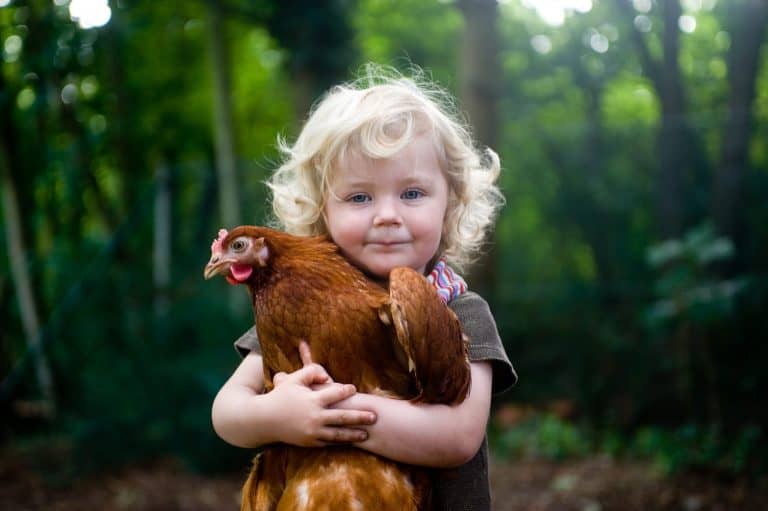 Cute blonde girl holding a chicken