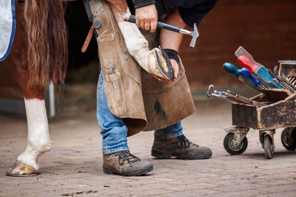 Farrier nailing horseshoe to horse hoof with a hammer. Blacksmith working in stable. Traditional animal care