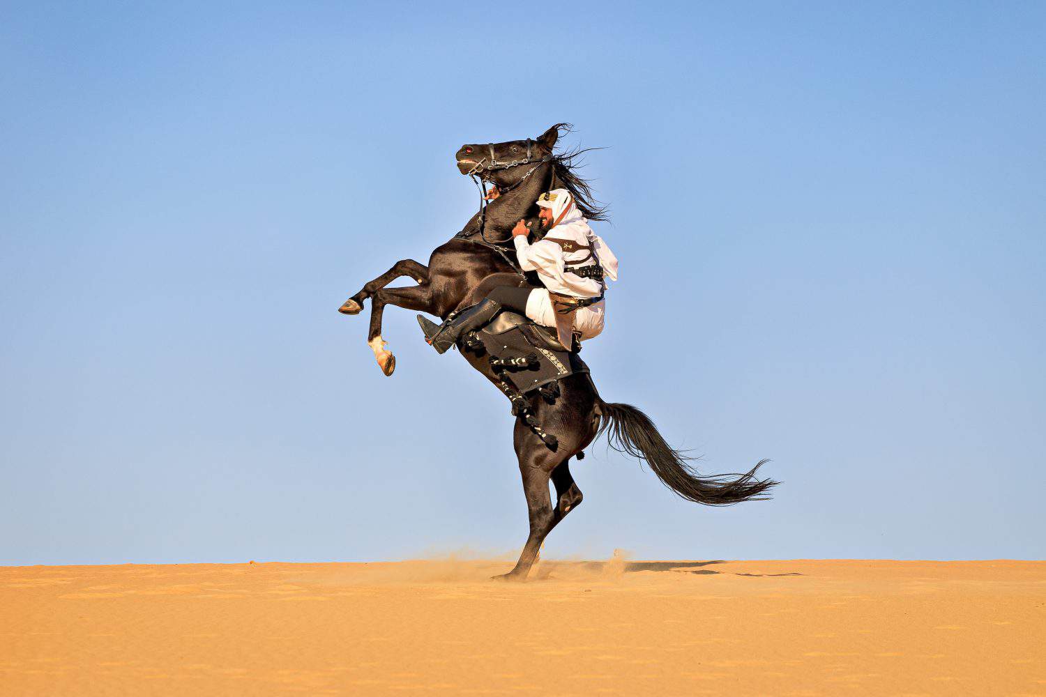Arabian man triumphing in battle and rearing his horse while holding his bow and arrow