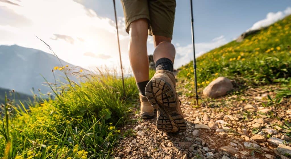 Close-up of female hikers legs walking on a mountain trail with trekking poles and wildflower mountain landscape in the german alps