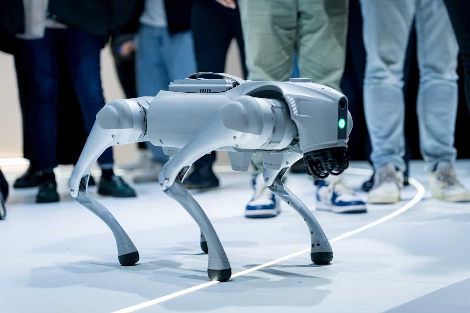 These 14 Animal-Inspired Inventions Are Changing the World - A-Z Animals