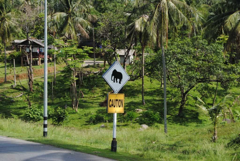 The sign elephant crossing in Thailand.