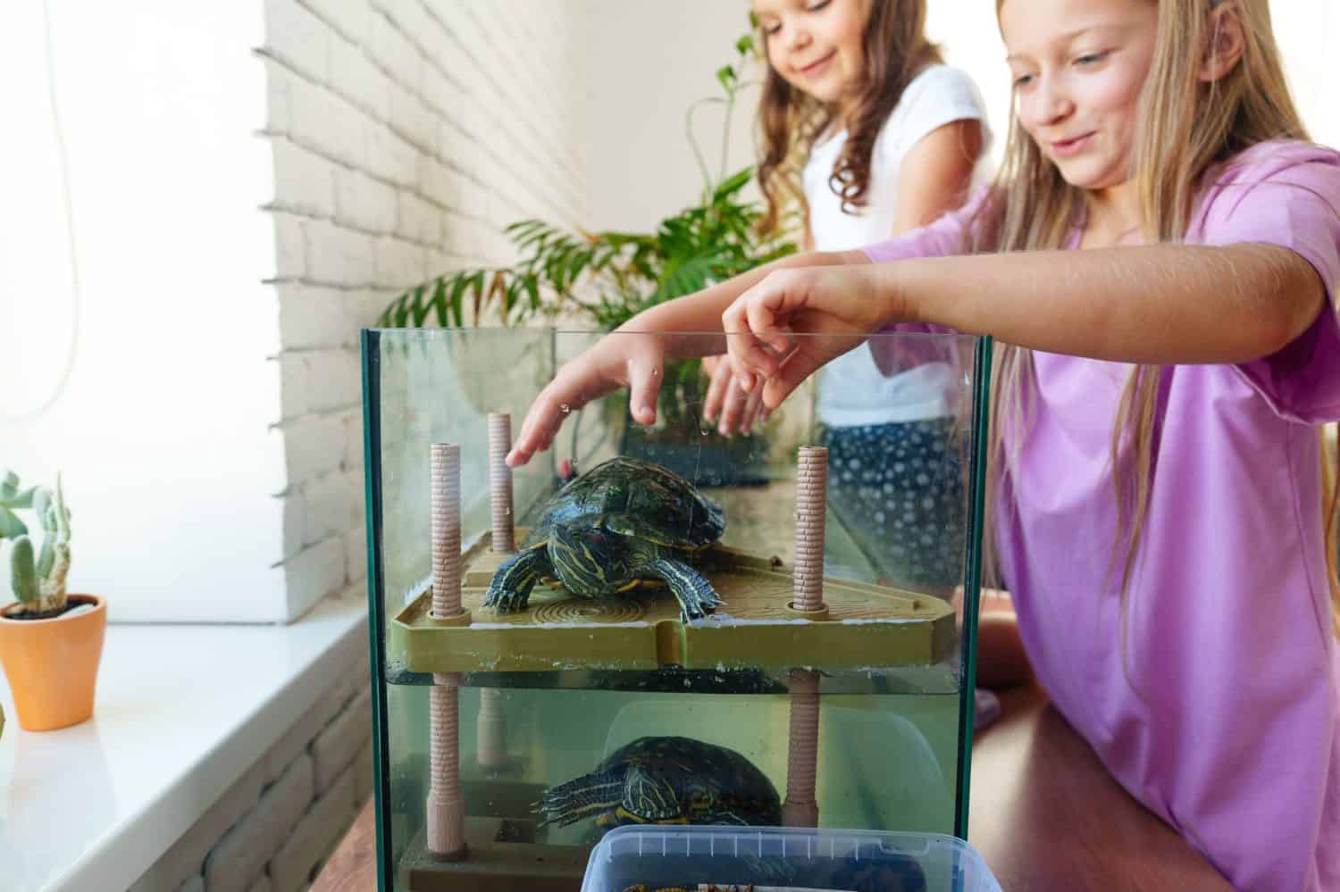Two children interact with turtles in a bright indoor environment with plants and natural light
