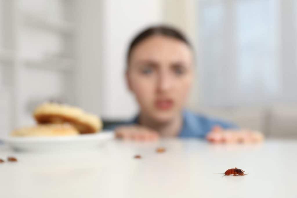 Shocked young woman looking at cockroaches on white table indoors, selective focus. Pest problem