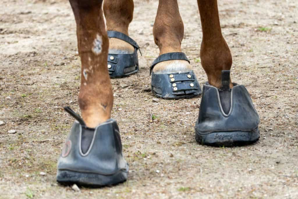 Innovative Equine Hoof Protection &ndash; Horse Feet in Rubber Hoof Boots on Dirt Ground.