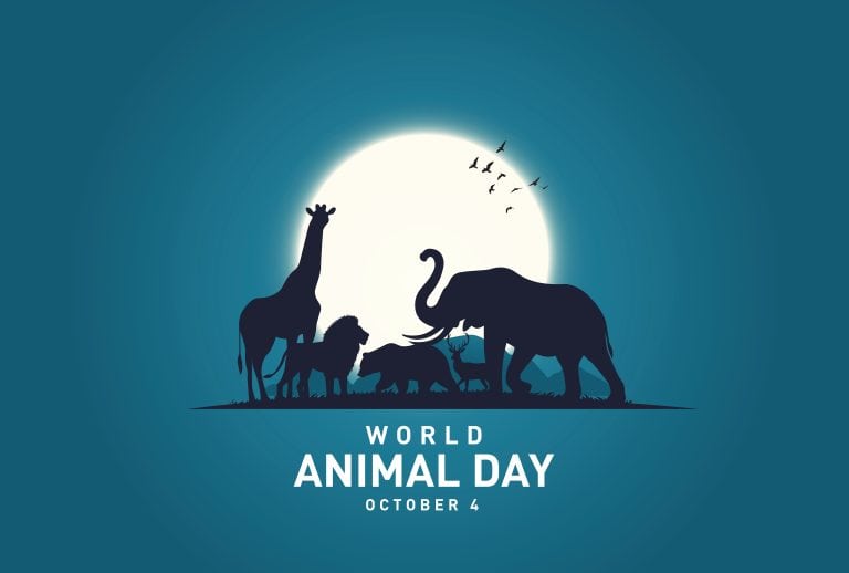 Animals in the wildlife vector illustration. World Animal Day concept