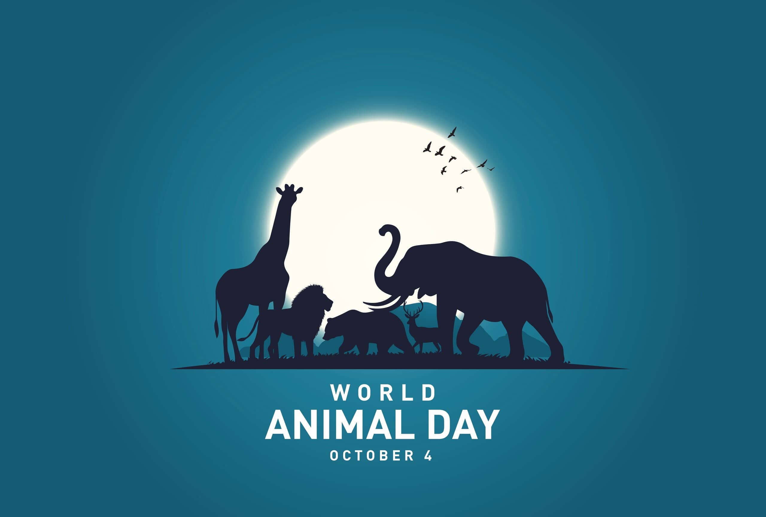 animal-dates