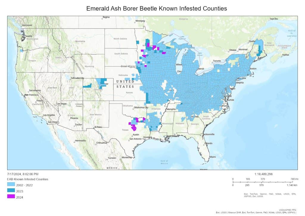 Map of US counties infested with emerald ash borer as of July 2024.