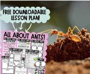 Amazing Ants: Free Downloadable Unit Plan for Kids - A-Z Animals