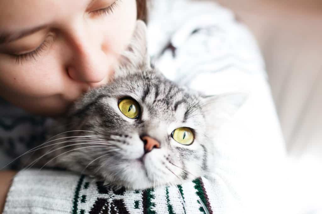 Woman at home holding her lovely fluffy cat. Gray tabby cute kitten. Pets and lifestyle concept.
